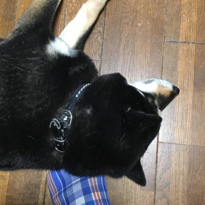 2a628748 1063 4d90 aa6d c9b58feb9fd5 1528587942007