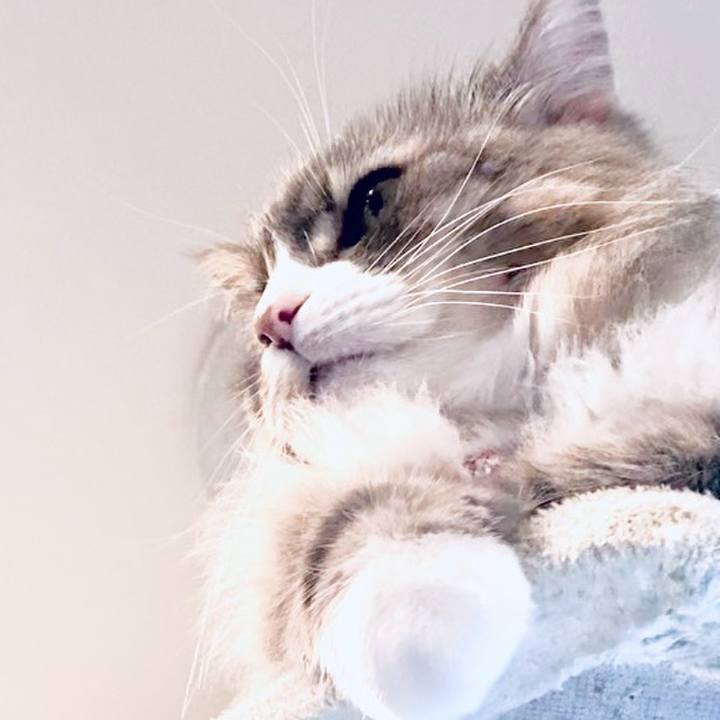 2a62a57a e1b0 4a9b aef8 380bfdca956c 1749664516346