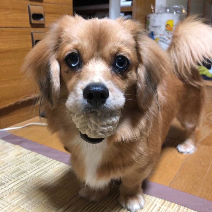 2a62e693 a405 46f1 a1c6 92c8059df689 1508794348141