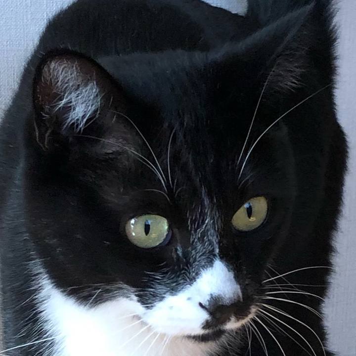 2a634515 0b2a 4f83 9c1a a8818493ded3 1605941631362