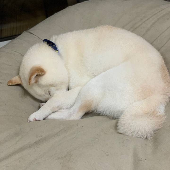 2a6349a2 9f30 40cc a428 43038cafee82 1581338724524