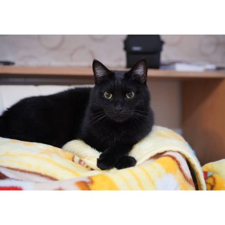 2a6374c1 25d3 4071 83dc c082979ac221 1635770875167