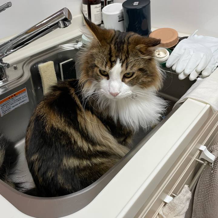 2a637d47 f59e 44ed 81aa 7accbf407b10 1647295637423