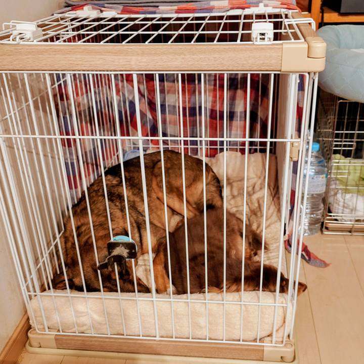 2a63913d 92f5 4af4 8cec d5260a07eaaf 1761470179322