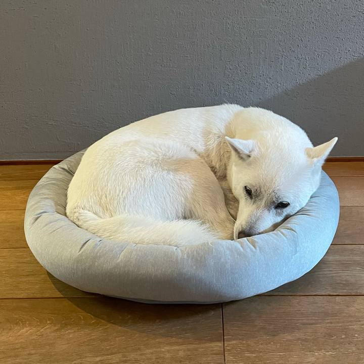 2a63afc6 799e 4c8b 809c 027fd21d6f61 1619951355745