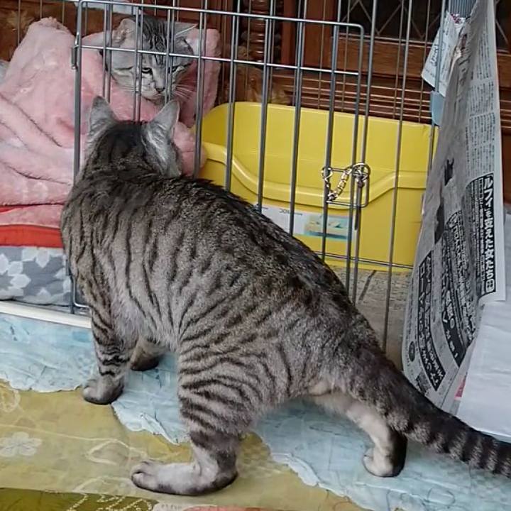 2a63dd37 a35e 4851 8bd5 ab901bac4c10 1676774284116