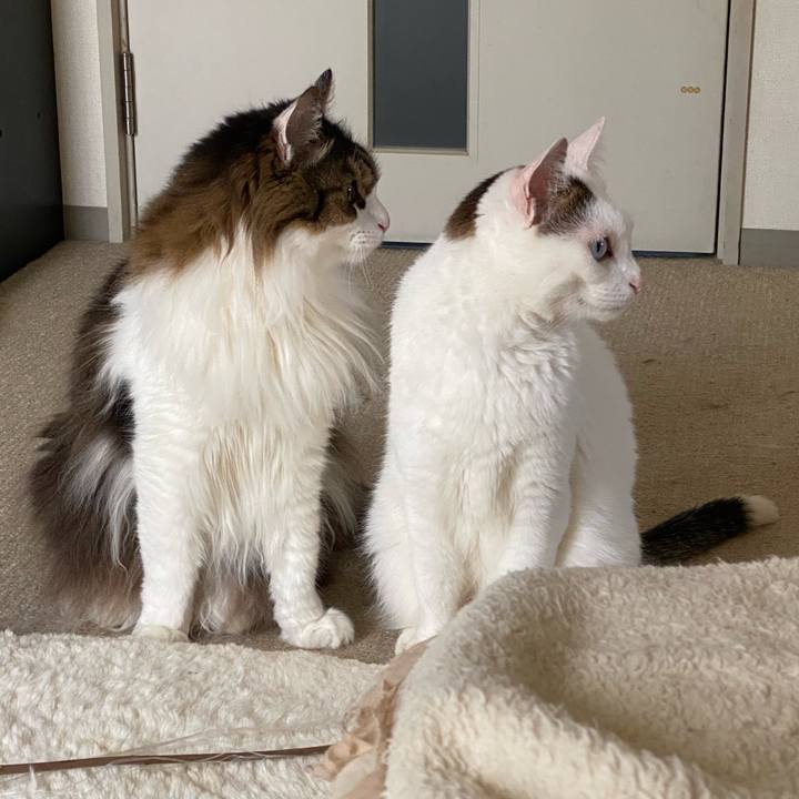 2a640bac e8bc 46eb b121 34d24dc605a5 1690506930069