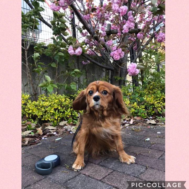 2a6424c3 aae8 4168 ba68 d7f21c9f4220 1587199223513