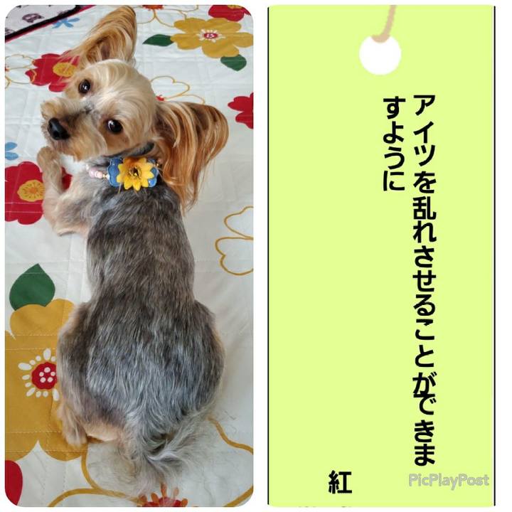 2a645232 4a3b 415f bd73 c370810bb2e8 1594136312111