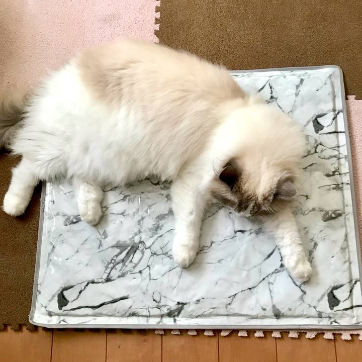 2a646010 be15 4c3e a6d4 031f60606969 1627372948694