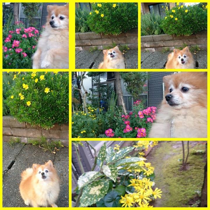 2a647a4a 8651 4643 a451 2a267f80f856 1508921774731