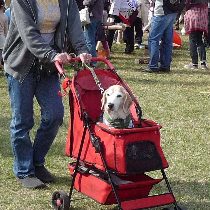 2a648922 b149 45f1 9564 2f5213f838df 1762653414466