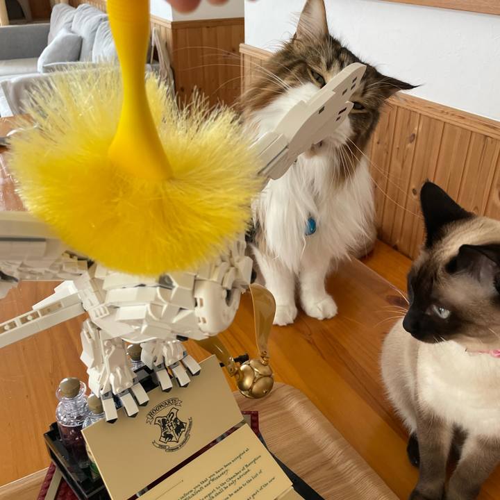 2a648b96 ddbd 4b48 a808 348702ec6e90 1717290871558