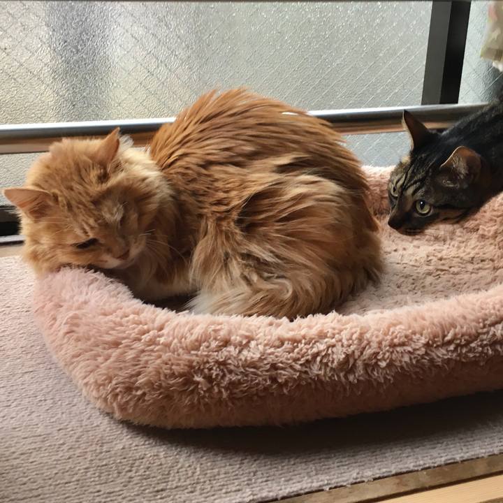 2a64b033 2169 4539 a6cb b7c8f0518834 1521104728984