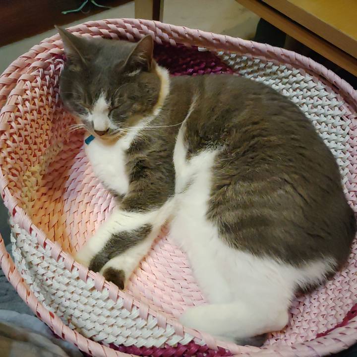 2a64b86f f9cb 4304 a354 c94d3e7ce25e 1654608128004