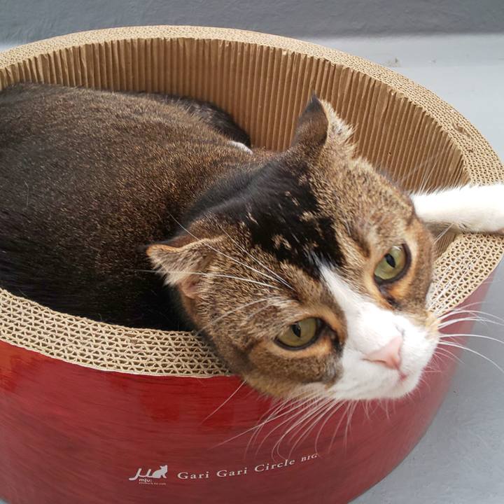 2a64c2b6 6d32 4d00 9c95 660ba4be7342 1601689763685