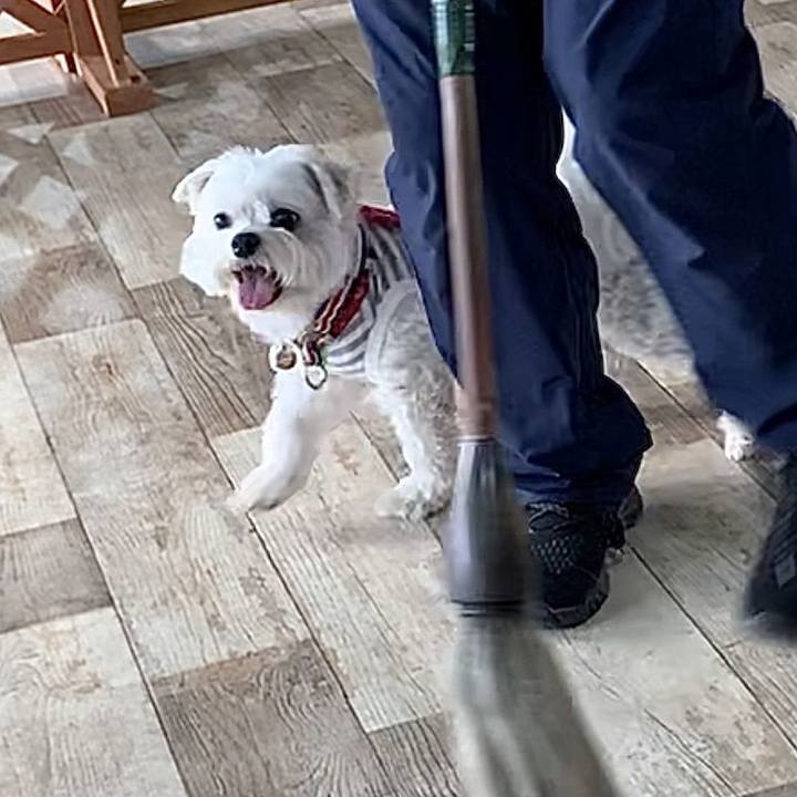 2a64de5e 5331 4864 b533 8ce24516681a 1647135087092