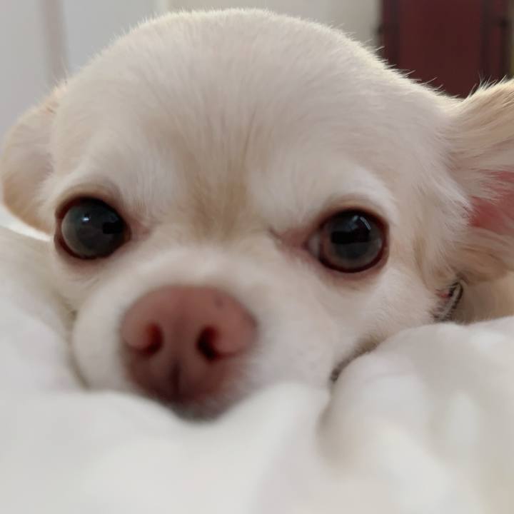 2a64e1a8 fbc4 41b8 9a44 8b703987fb39 1724380677809