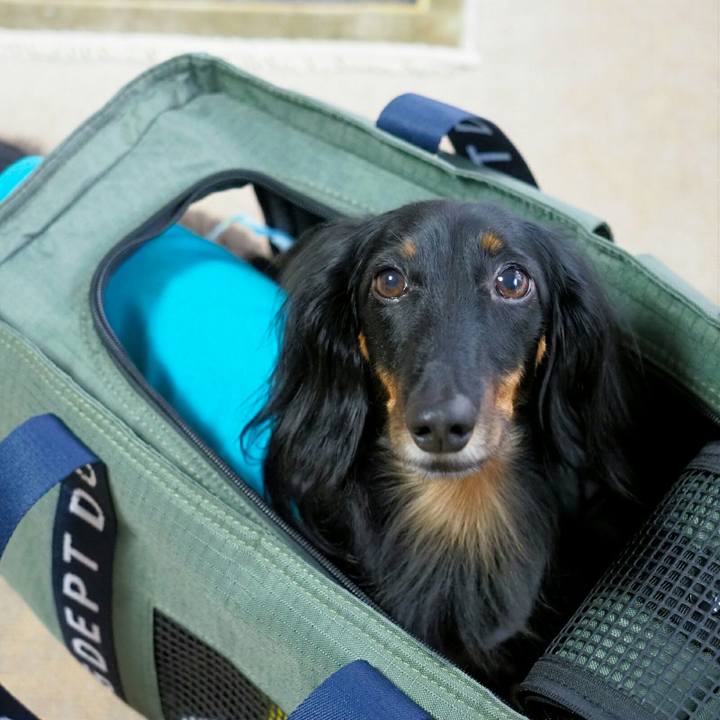 2a64ece7 4ecc 42f7 8d7b a62456b975ea 1569983151414