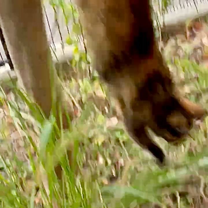 2a651a2b 1c6a 46e0 bef9 4bfe7f8adba6 1764124232298