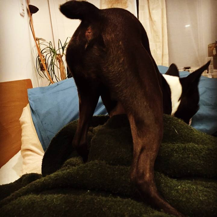 2a654f3b 43b8 4ed4 8be4 b1ef9fcb53dd 1516025256438