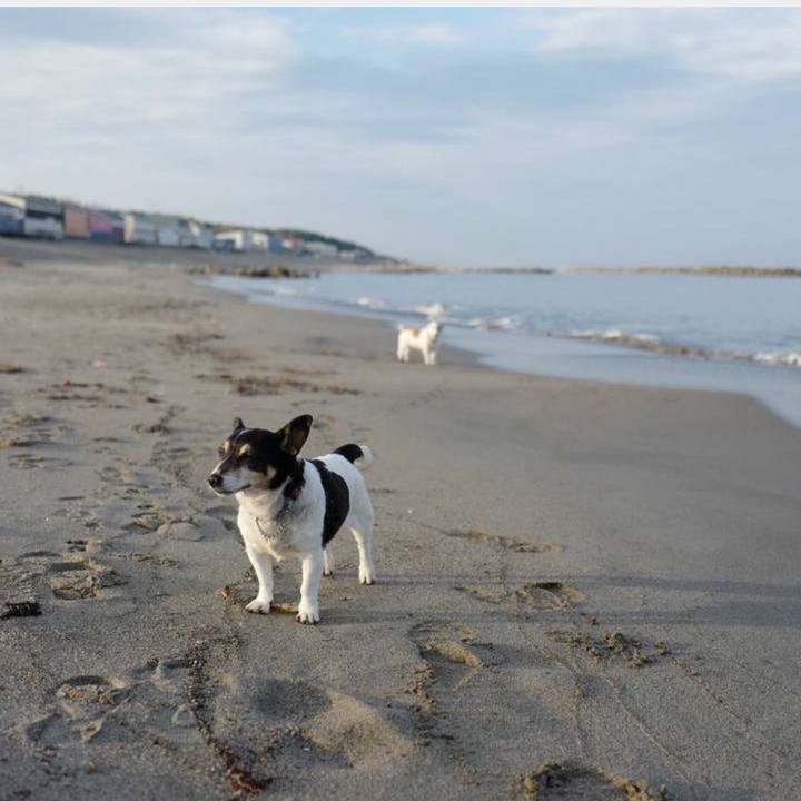 2a65516c b3aa 4ac6 847d e6f5e40fc141 1731827477527