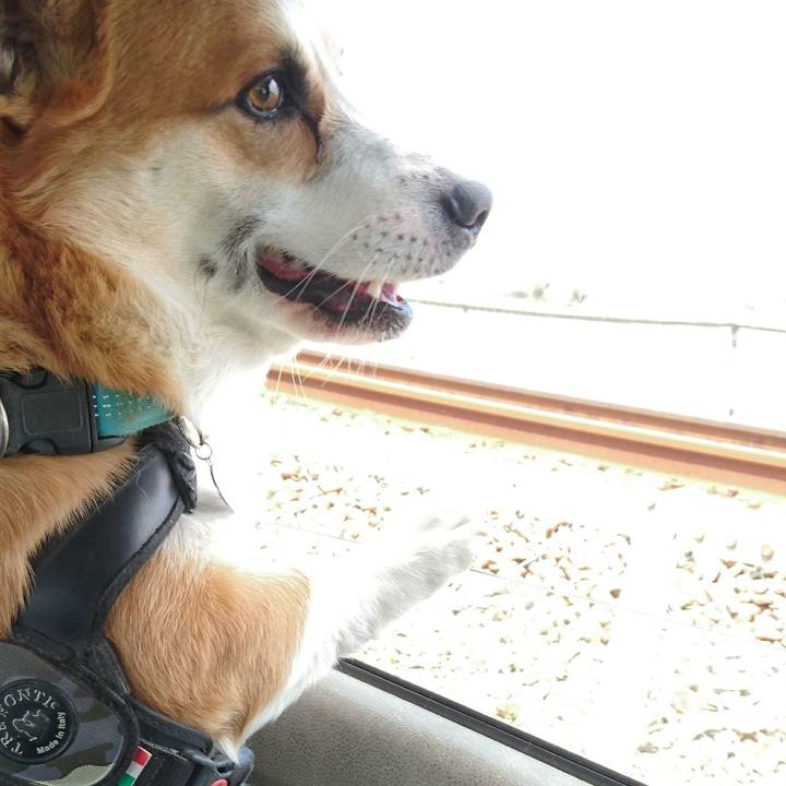 2a6584df 4bb1 443c 995c a7ea044ca2bf 1650773456982