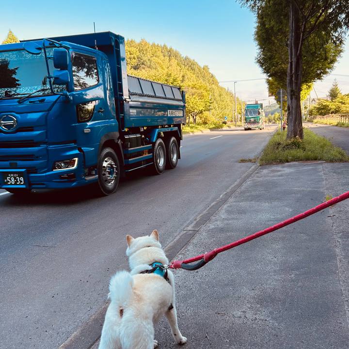 2a65992c d1d1 4b24 a2d5 306e3f4f9c06 1752268605293