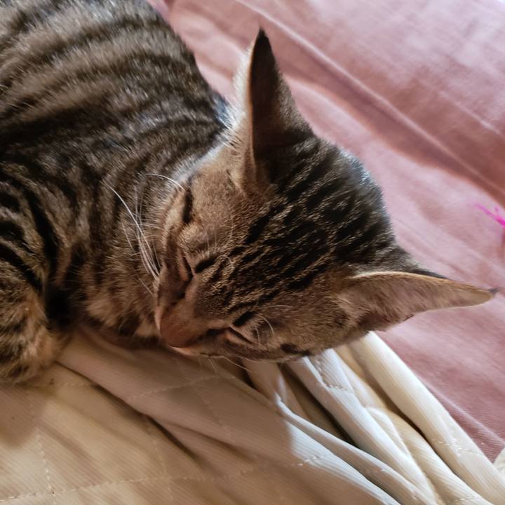 2a65d9e5 7c6e 4a7a b450 dc3f0e5362e7 1542349179575