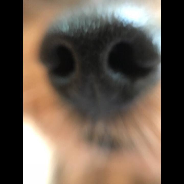 2a65dd0f 1318 446c a70a 673f9ae3d6ea 1536143384328