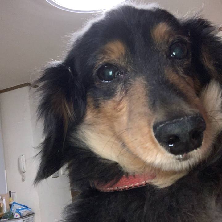 2a661827 5ea9 4fe3 a5bd 2c6e98bcf8dd 1579120792719