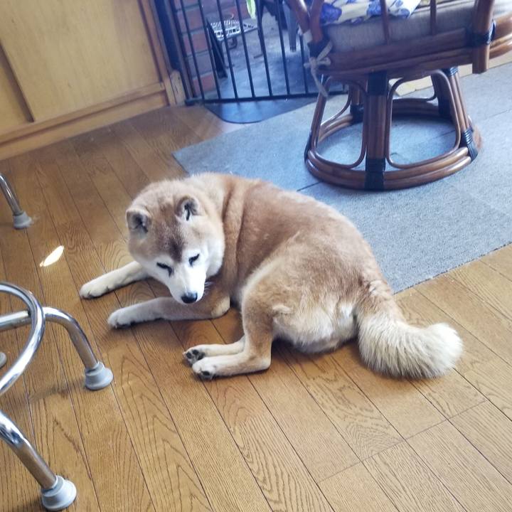 2a662b47 19d0 47d6 a1f4 7d1a6ce371f7 1737853635449