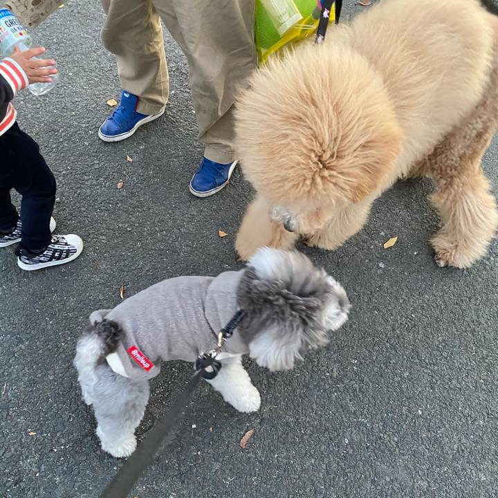 2a662c76 26a8 4c4c 9c9d b8077ab9ae6d 1605348503443