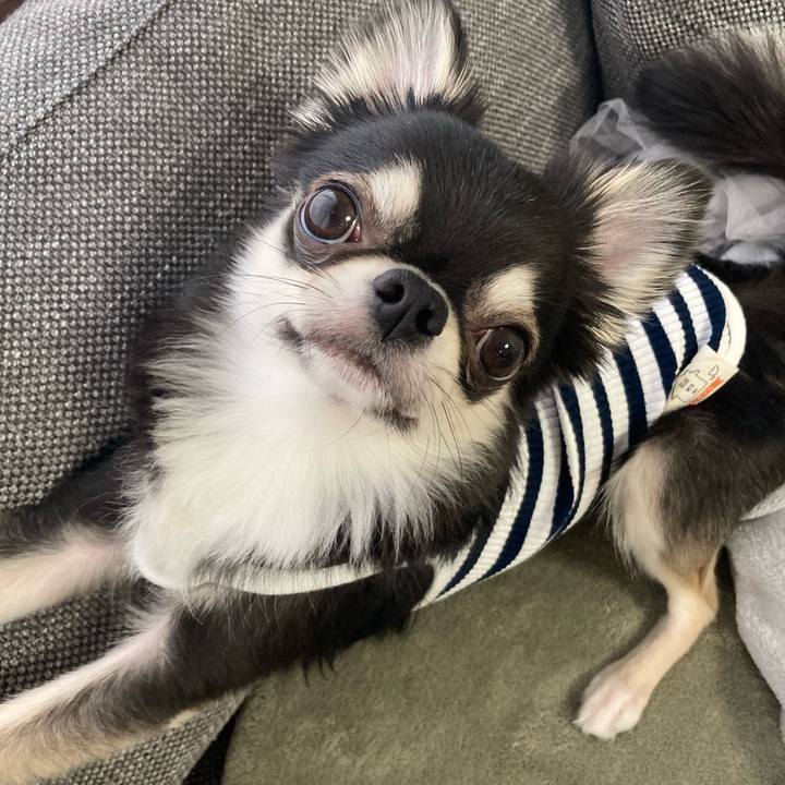 2a66e272 9077 4cbe 9a5e 7881126951af 1619651670299