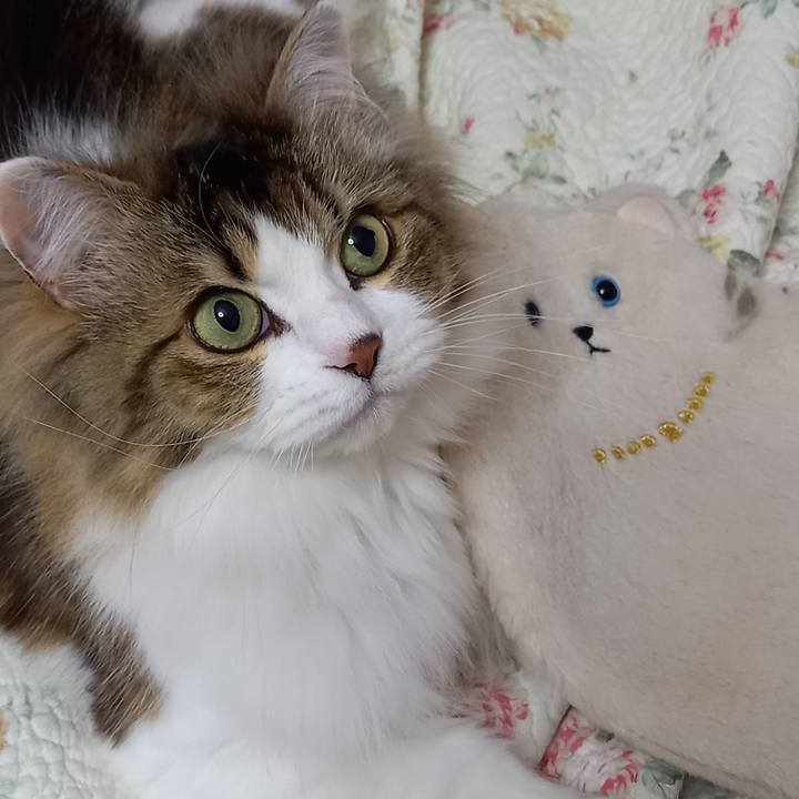 2a66e3f0 63ba 46bc 8ae0 62061ffb0b30 1617321319043