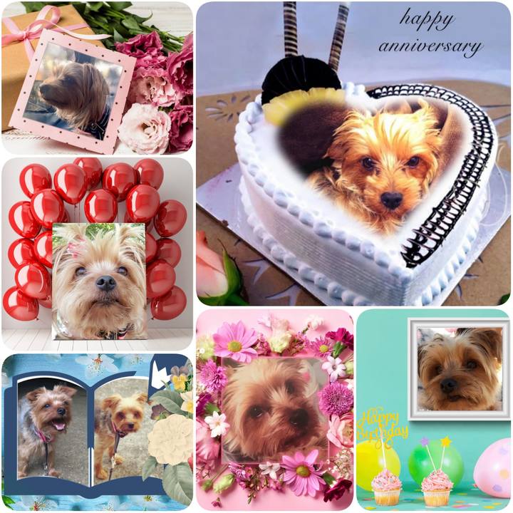 2a66e5f4 e0e5 4329 94fc beff15c193fe 1620775768992