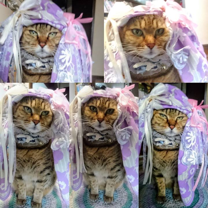 2a66ea59 cf0a 4761 9143 a24977750d95 1771633819540