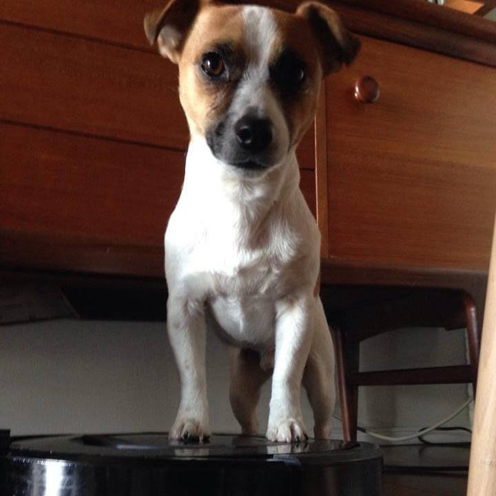 2a66fa9b 54d5 4e54 9217 c5ae3690f30e 1706364114898