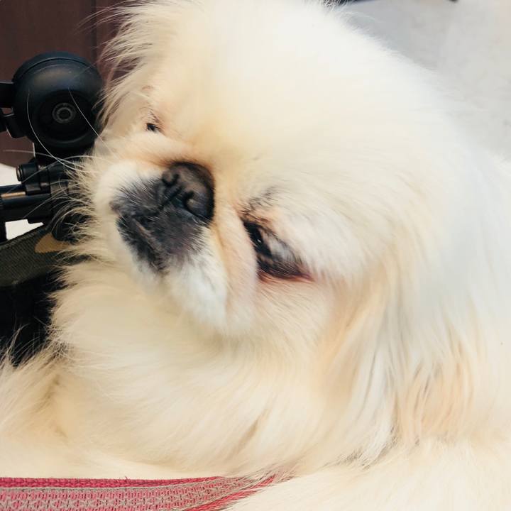 2a6738fa 8ce0 4def 8f8f 4e9fb3890173 1550729845654