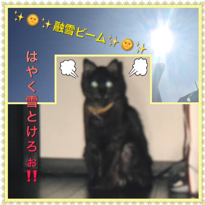2a6757dc 1f24 493a 8f4c f28d341a0c4c 1517993667918