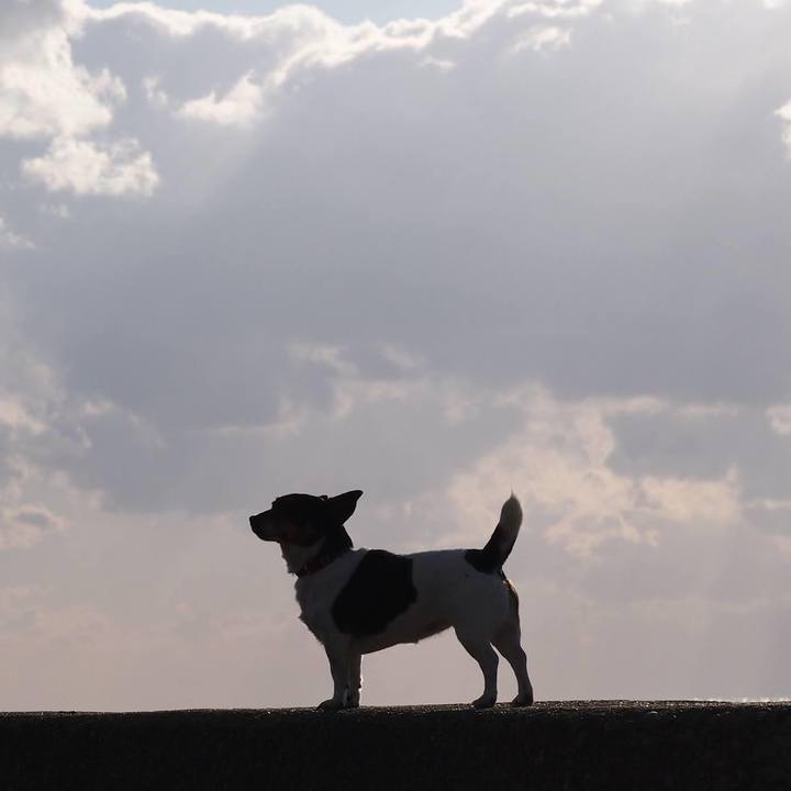 2a6757ec adc8 4dfc 9140 342af19a6871 1615185877519