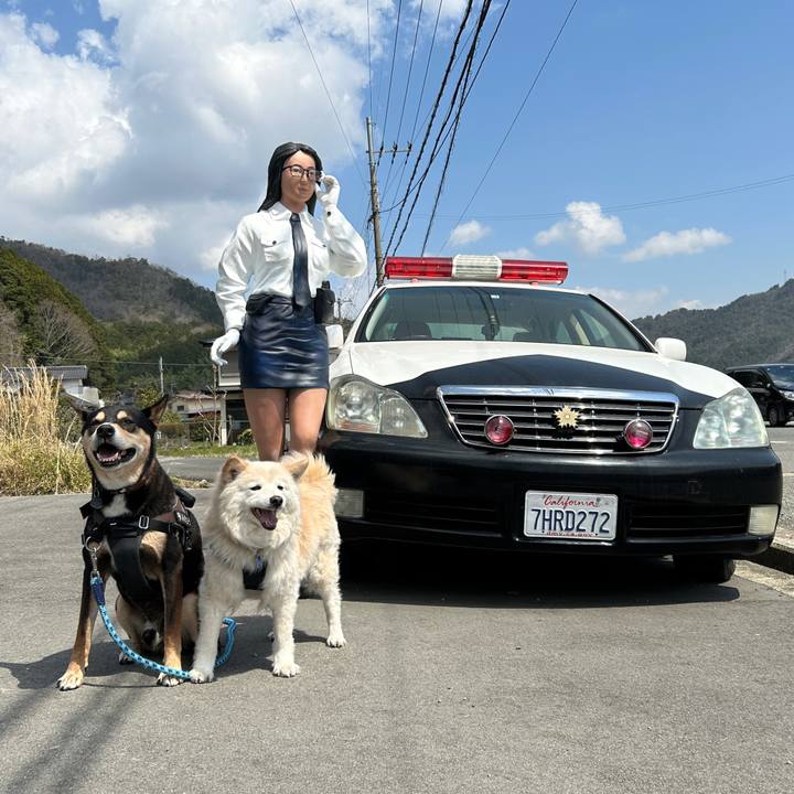 2a67758f 767e 475f a080 55f28b4bb86a 1744332551779