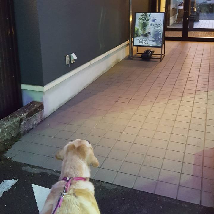 2a67839e a290 44ca 9af5 fefc0400b4f3 1515491695167