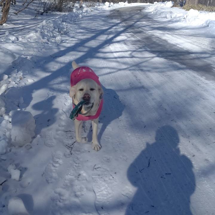 2a678d61 7f9b 4a46 9562 b0c1298a385a 1673239749612