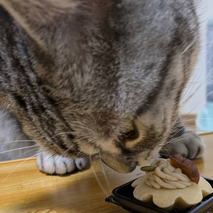 2a6793a7 9c3e 4709 8bdb 6b29ba358822 1739015908976