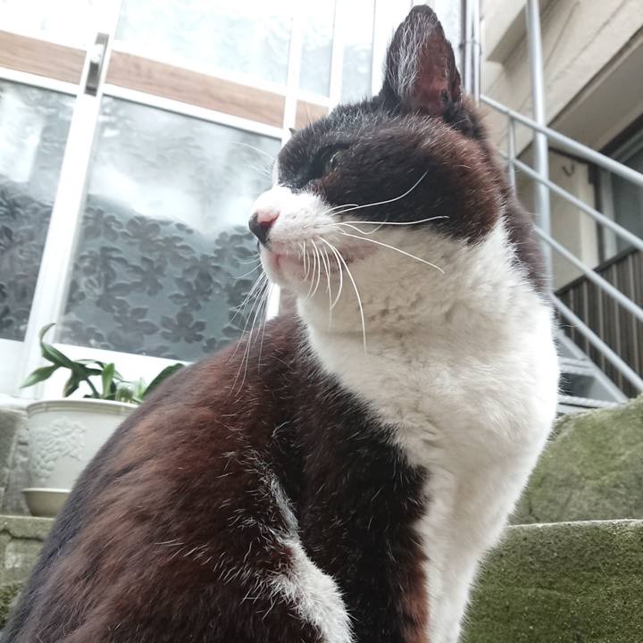 2a67a712 09df 4658 bfbf 10b07c80d8da 1685267510120