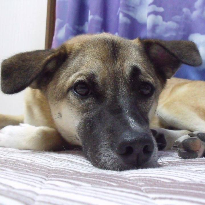 2a67a9f3 a625 4dfb b9a1 639d96a90a57 1534236823176