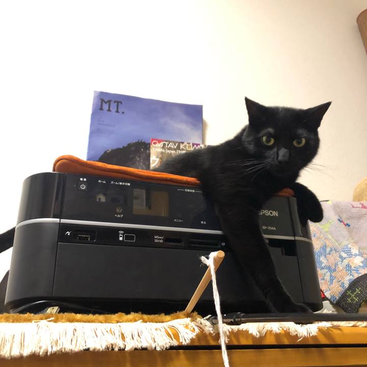 2a67b0c2 7586 4f90 b94f abf3799fd933 1559059215581