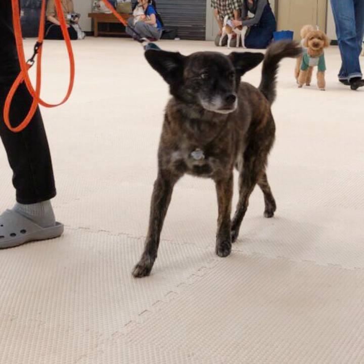 2a67c054 5a8a 4fe6 9d8c d7c3b4c47f2e 1566786859643