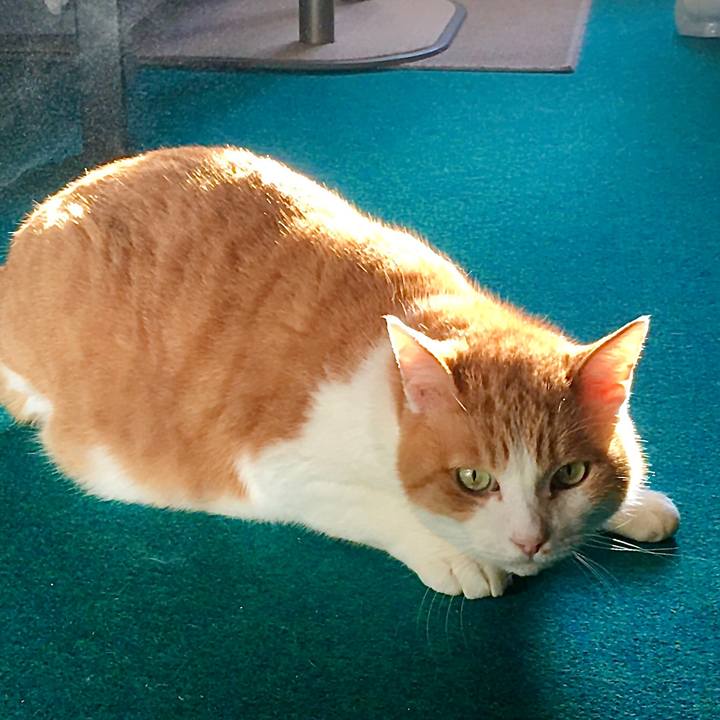 2a67c385 b2d5 435f 8fff d5c51547f5be 1606727151588